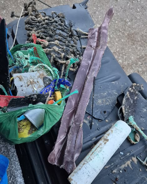 Beach clean detritus